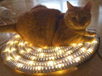 BautaWitch Crocheted LED Light Rug